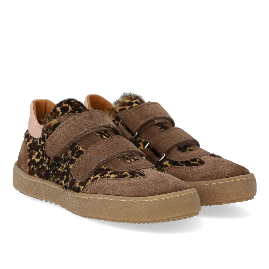 Angulus Court sneaker leopard sneakers velcro