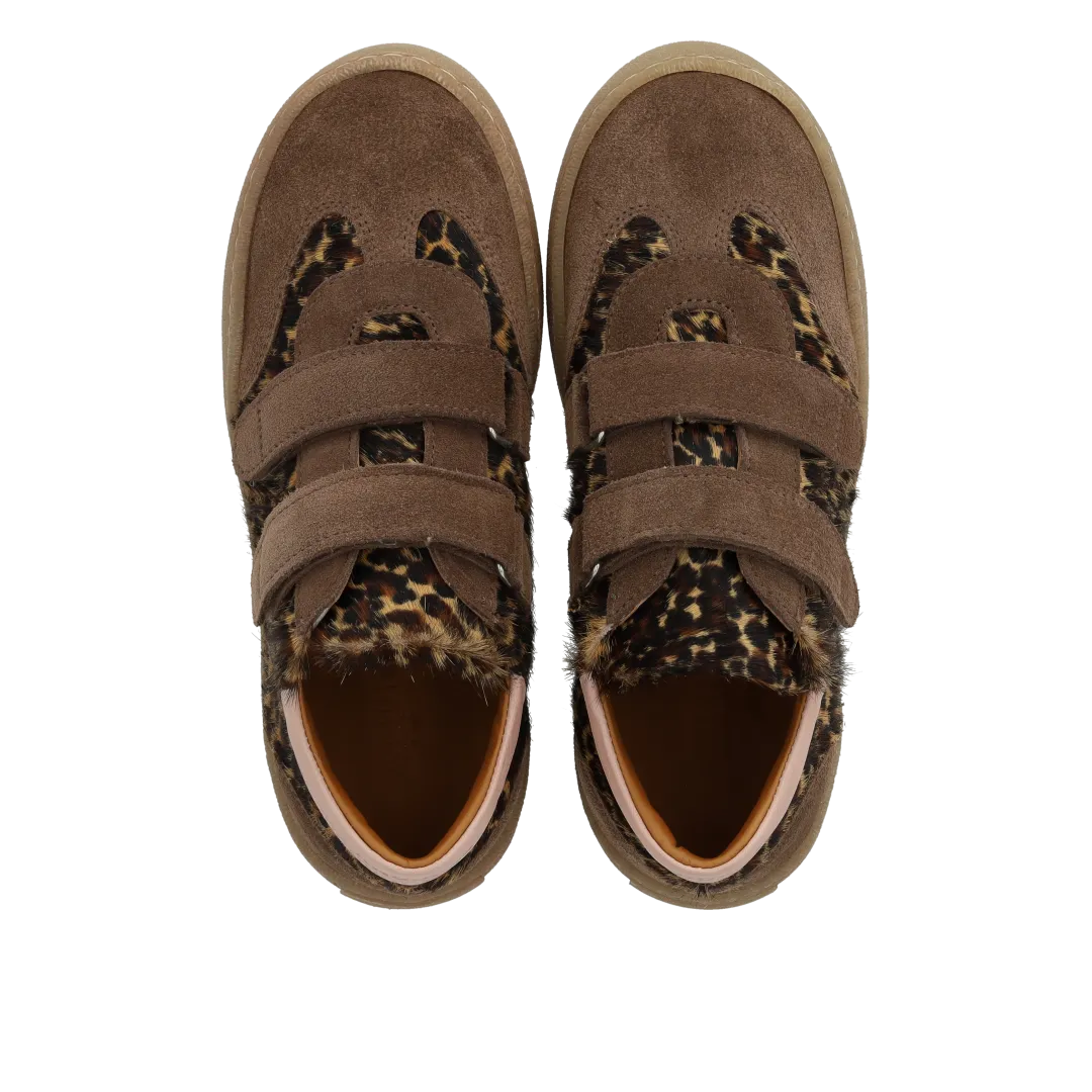 Angulus Court sneaker leopard sneakers velcro