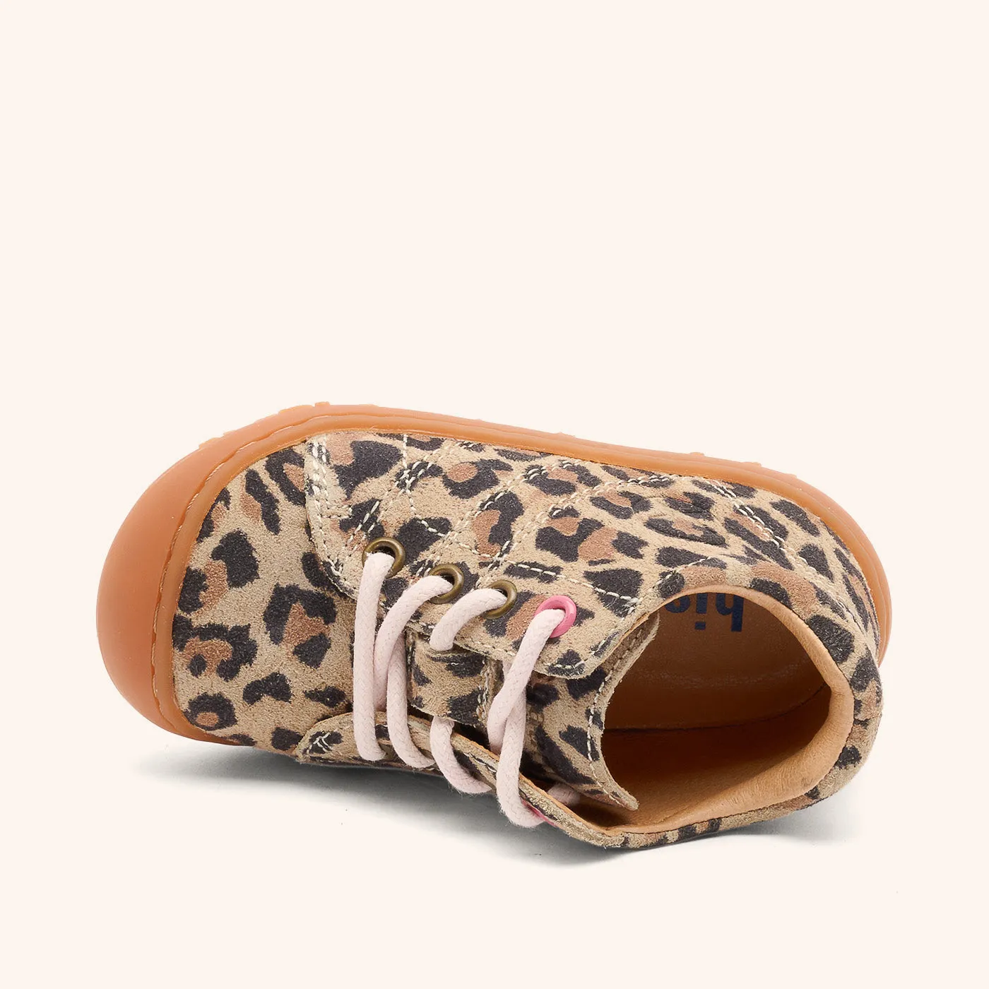 Bisgaard Hale L begyndersko leopard
