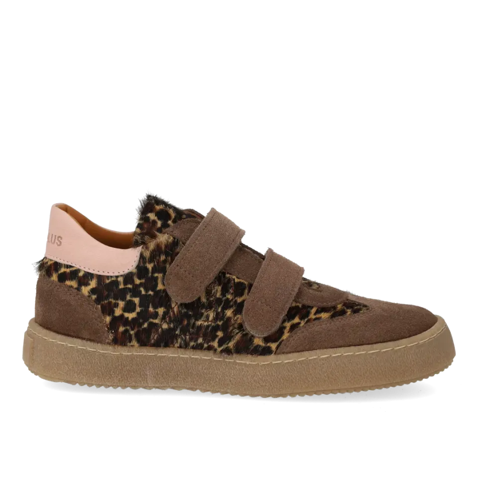 Angulus Court sneaker leopard sneakers velcro