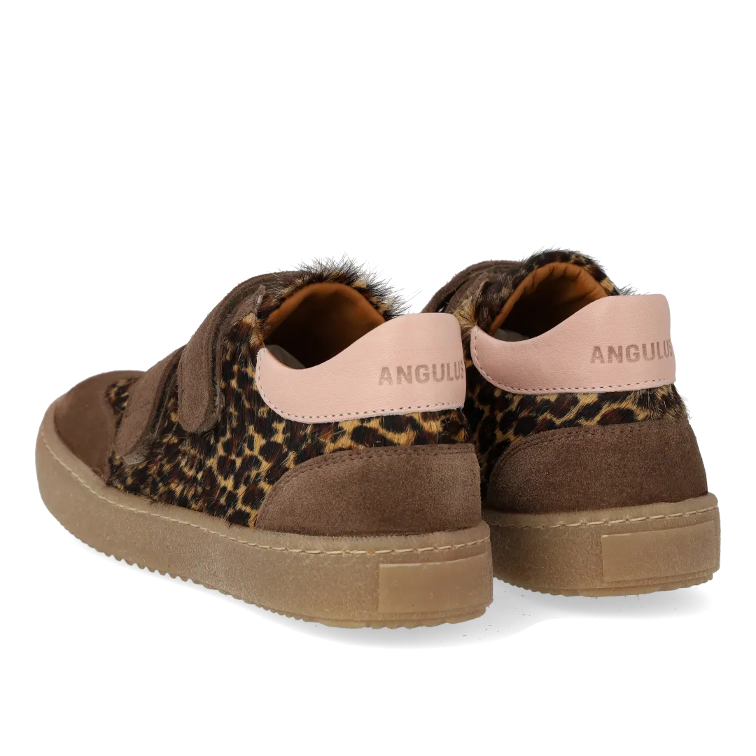 Angulus Court sneaker leopard sneakers velcro
