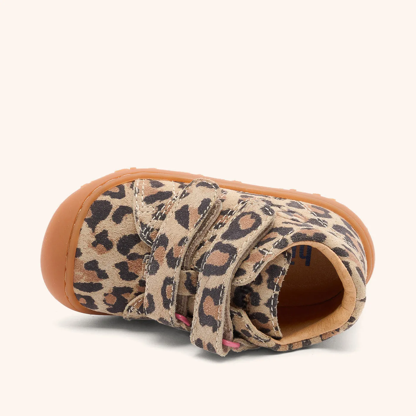 Bisgaard Hale V begyndersko leopard fleksibel