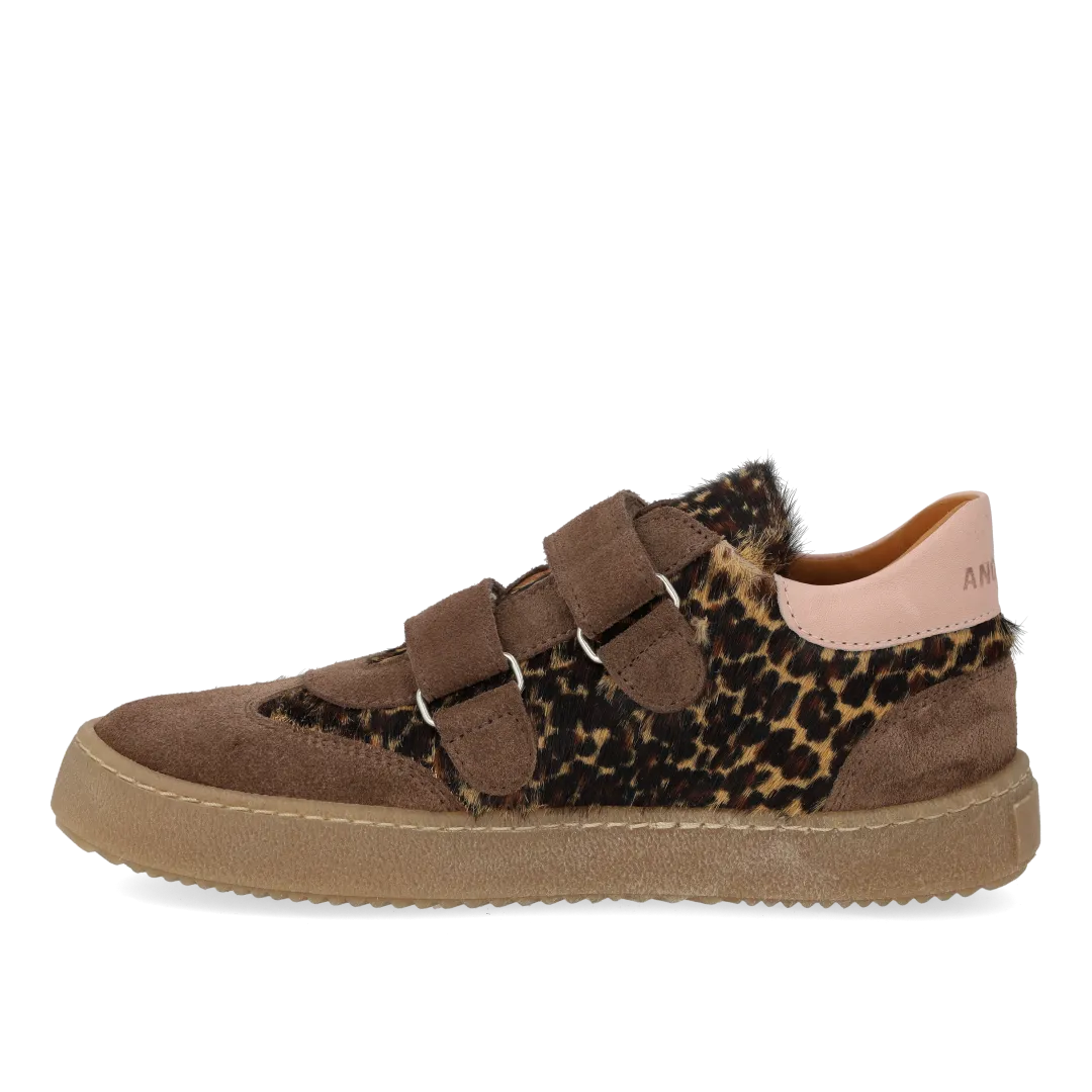 Angulus Court sneaker leopard sneakers velcro